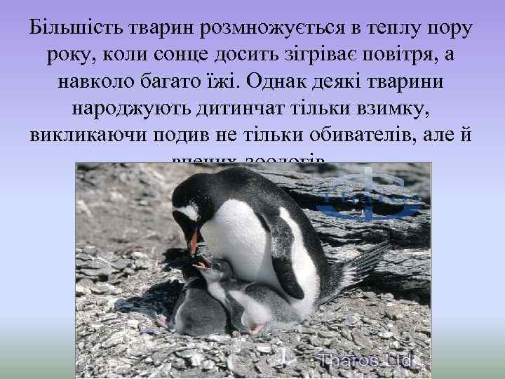 Більшість тварин розмножується в теплу пору року, коли сонце досить зігріває повітря, а навколо