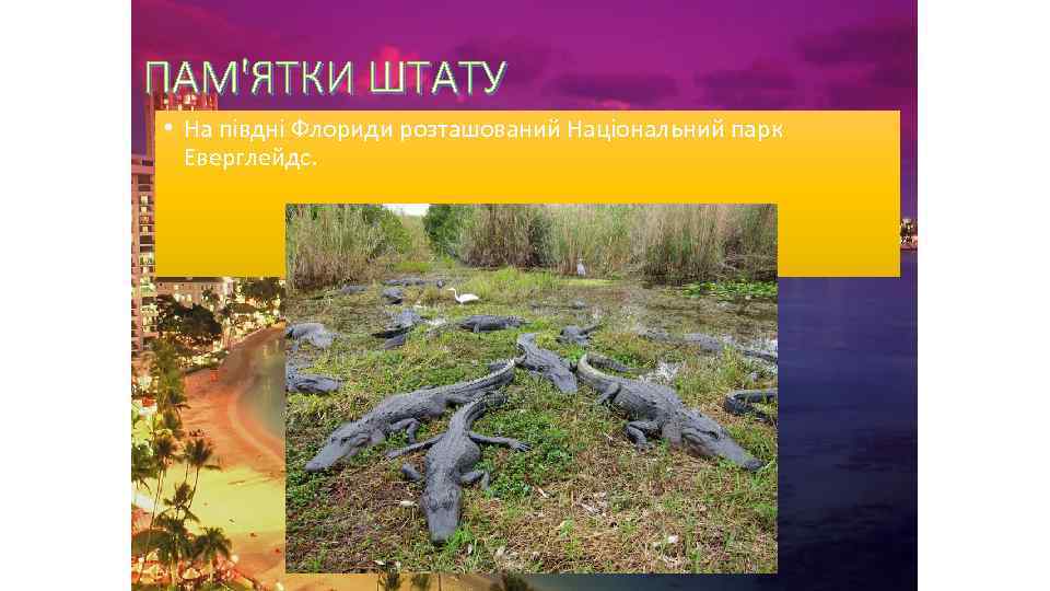 ПАМ'ЯТКИ ШТАТУ • На півдні Флориди розташований Національний парк Еверглейдс. 