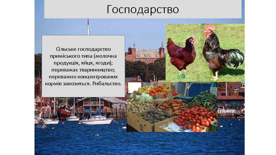 Господарство Сільське господарство приміського типа (молочна продукція, яйця, ягоди); переважає тваринництво; переважно концентрованих кормів