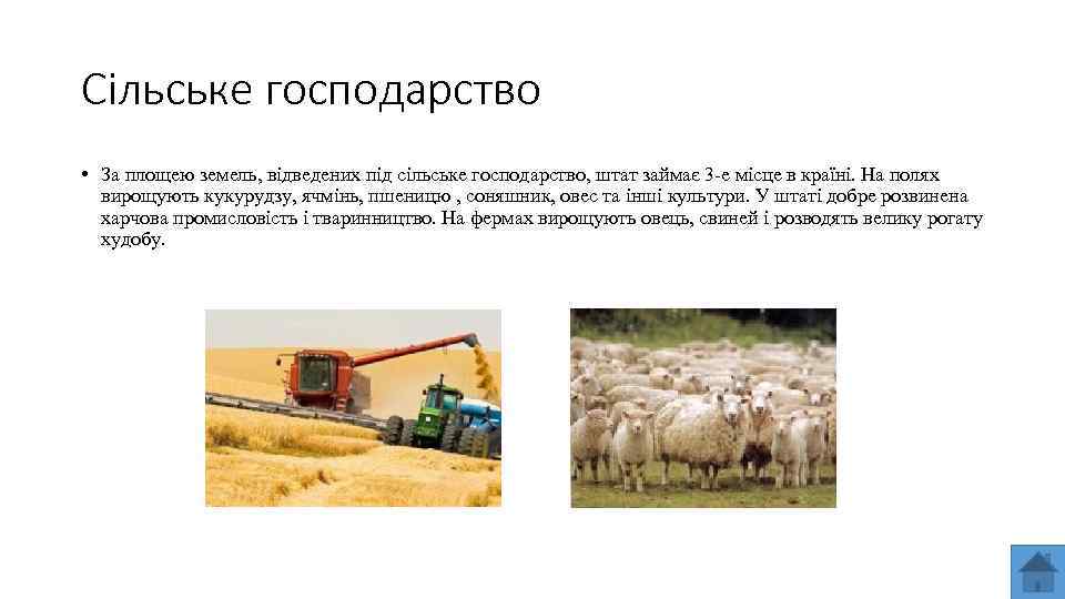 Сільське господарство • За площею земель, відведених під сільське господарство, штат займає 3 -е