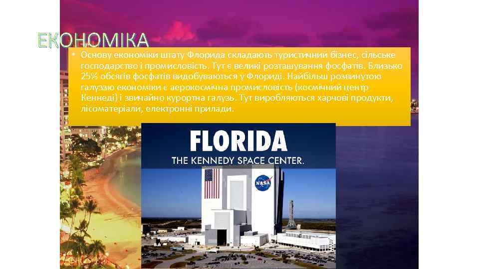 ЕКОНОМІКА • Основу економіки штату Флорида складають туристичний бізнес, сільське господарство і промисловість. Тут