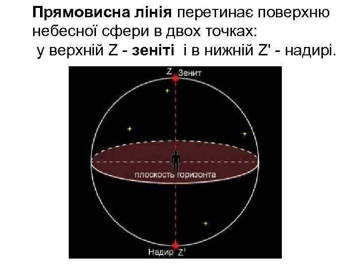 Прямовисна лінія перетинає поверхню небесної сфери в двох точках: у верхній Z - зеніті
