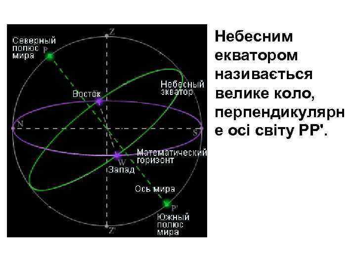 Небесним екватором називається велике коло, перпендикулярн е осі світу PP'. 