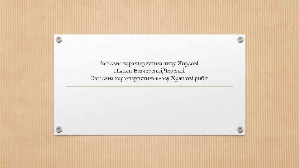 Загальна характеристика типу Хордові. Підтип Безчерепні, Черепні. Загальна характеристика класу Хрящові риби 