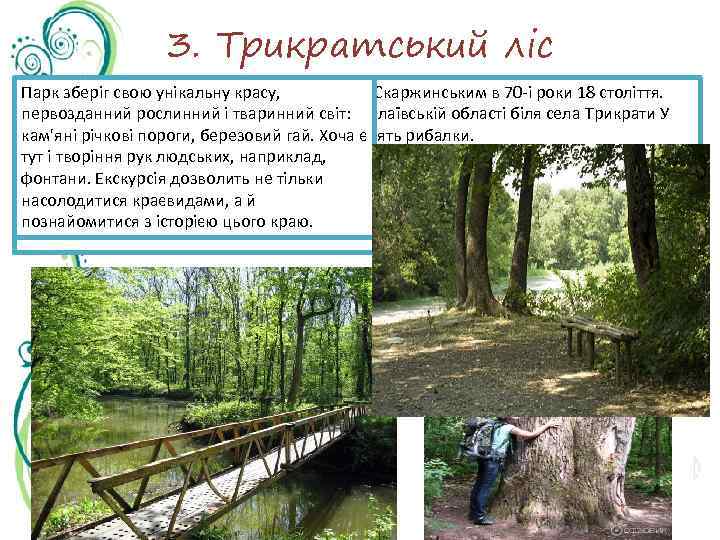 3. Трикратський ліс Парк зберіг свою унікальну красу, • Трикратський ліс був висаджений графом
