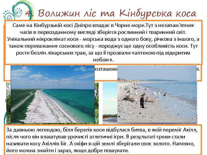 4. Волижин ліс та Кінбурська коса Саме на Кінбурзькій косі Дніпро впадає в Чорне
