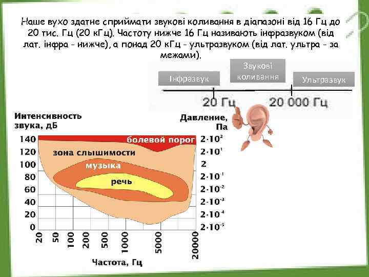 Наше вухо здатне сприймати звукові коливання в діапазоні від 16 Гц до 20 тис.