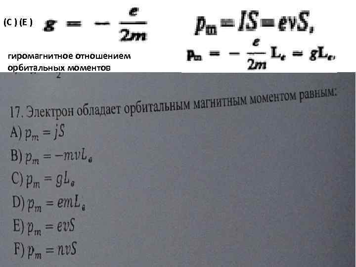 (С ) (Е ) гиромагнитное отношением орбитальных моментов 