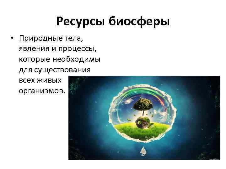 Ресурсы биосферы • Природные тела, явления и процессы, которые необходимы для существования всех живых