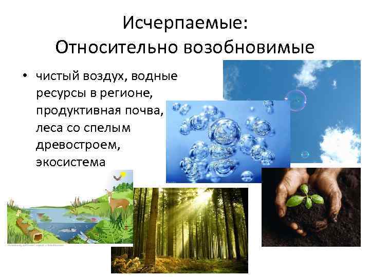 Исчерпаемые: Относительно возобновимые • чистый воздух, водные ресурсы в регионе, продуктивная почва, леса со