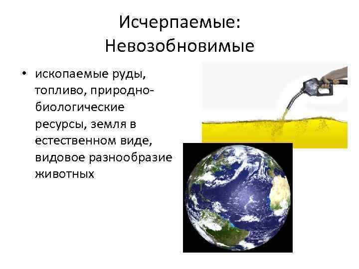 Исчерпаемые: Невозобновимые • ископаемые руды, топливо, природнобиологические ресурсы, земля в естественном виде, видовое разнообразие