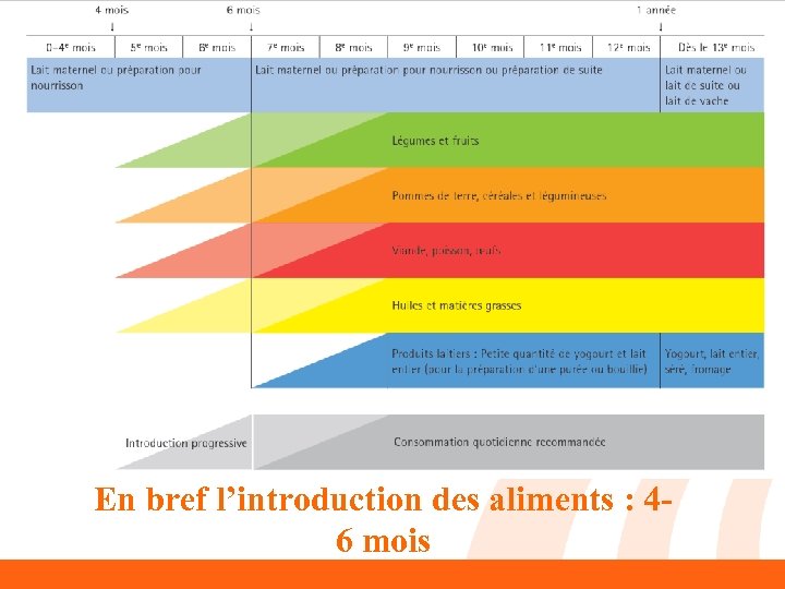 En bref l’introduction des aliments : 4 - 6 mois 