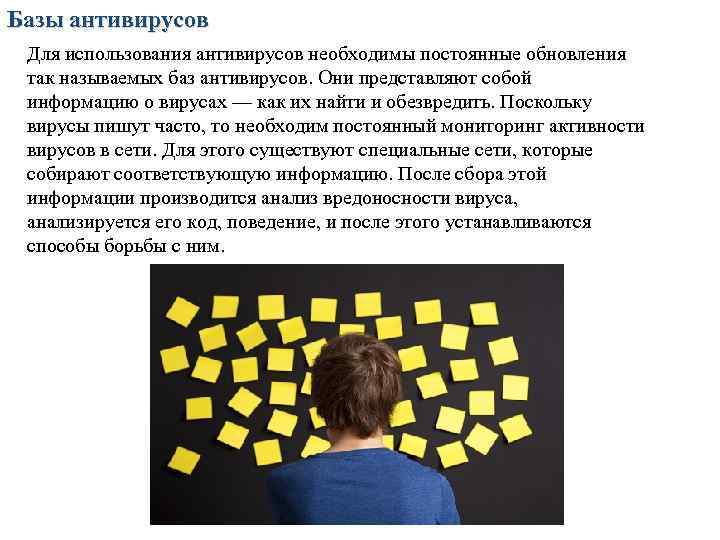 Базы антивирусов Для использования антивирусов необходимы постоянные обновления так называемых баз антивирусов. Они представляют