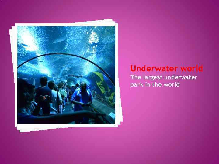 Underwater world The largest underwater park in the world 