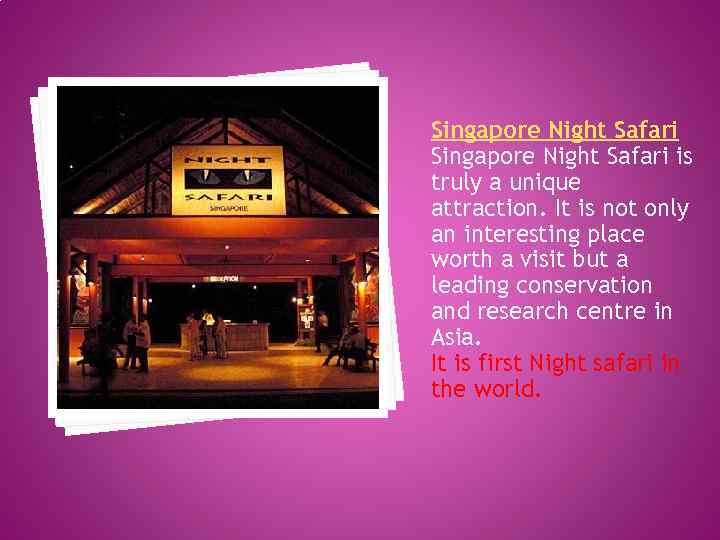 Singapore Night Safari is truly a unique attraction. It is not only an interesting