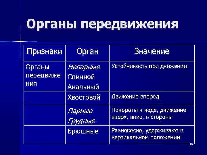 Органы передвижения Признаки Органы передвиже ния Непарные Значение Устойчивость при движении Спинной Анальный Хвостовой