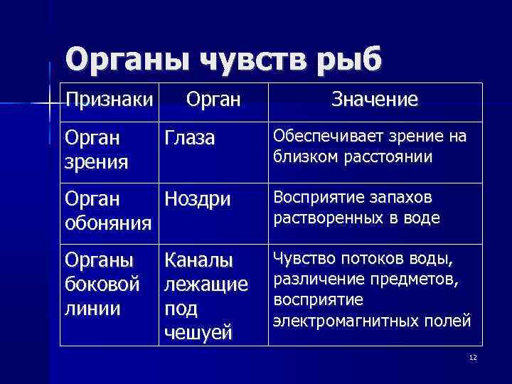 Органы чувств рыб Признаки Орган зрения Орган Глаза Значение Обеспечивает зрение на близком расстоянии