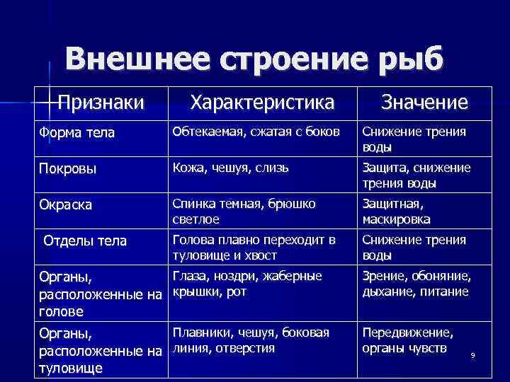 Внешнее строение рыб Признаки Характеристика Значение Форма тела Обтекаемая, сжатая с боков Снижение трения
