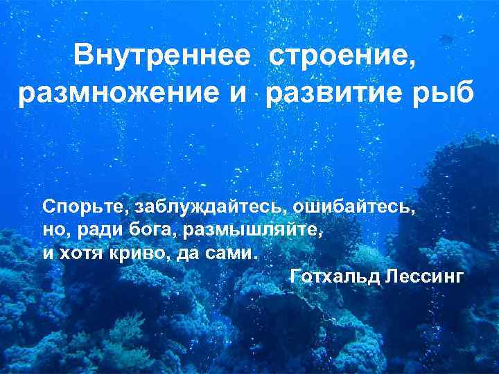 Внутреннее строение, размножение и развитие рыб Спорьте, заблуждайтесь, ошибайтесь, но, ради бога, размышляйте, и