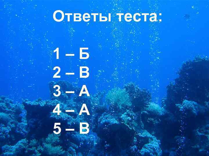 Ответы теста: 1–Б 2–В 3–А 4–А 5–В 