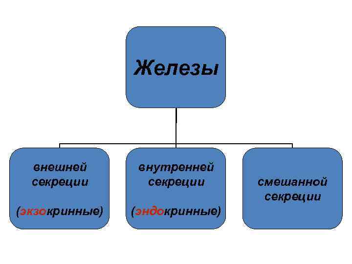 Тест внутренняя и внешняя секреция. Железы внешней секреции. Железы смешанной секреции. Железы внутренней внешней и смешанной секреции таблица. Железы внутренней и смешанной секреции.