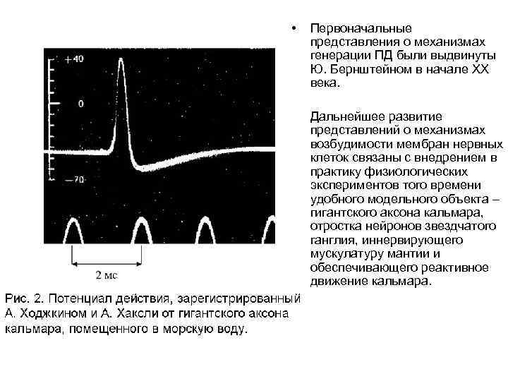  • Первоначальные представления о механизмах генерации ПД были выдвинуты Ю. Бернштейном в начале