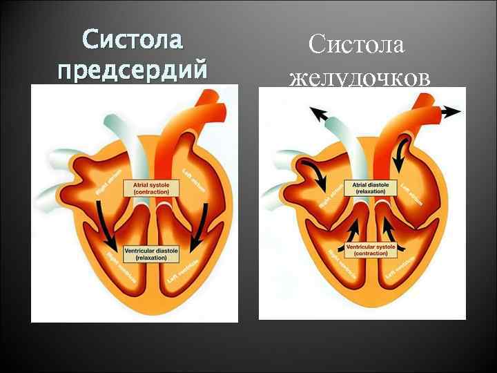 Картинки сердце в крови