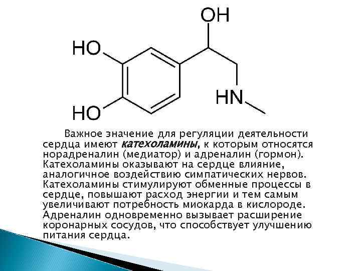 Важное значение для регуляции деятельности сердца имеют катехоламины, к которым относятся норадреналин (медиатор) и