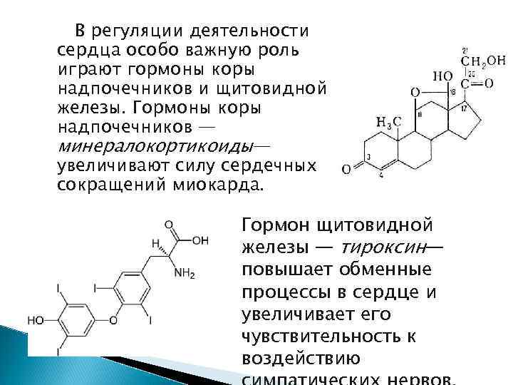 В регуляции деятельности сердца особо важную роль играют гормоны коры надпочечников и щитовидной железы.