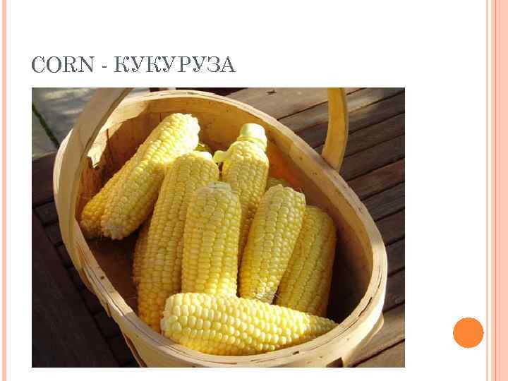 CORN - КУКУРУЗА 