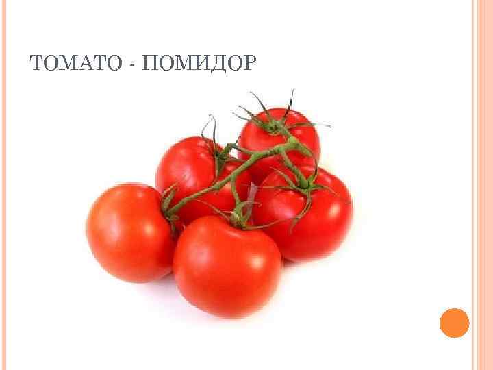 TOMATO - ПОМИДОР 