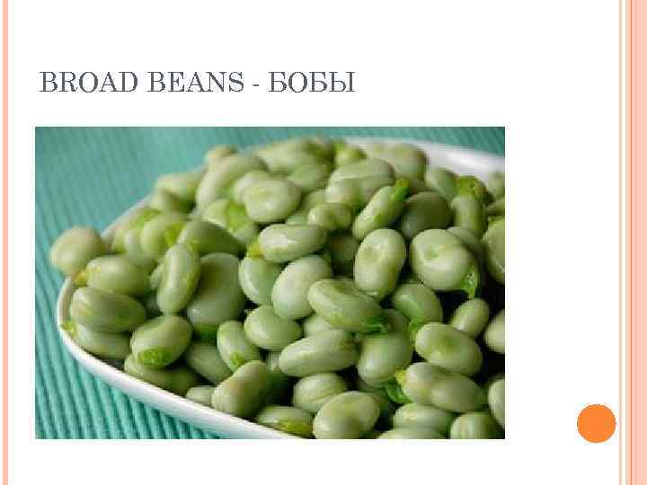 BROAD BEANS - БОБЫ 