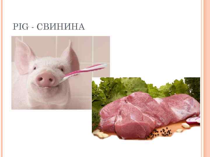 PIG - СВИНИНА 