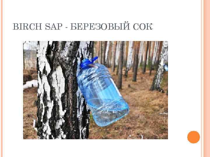 BIRCH SAP - БЕРЕЗОВЫЙ СОК 