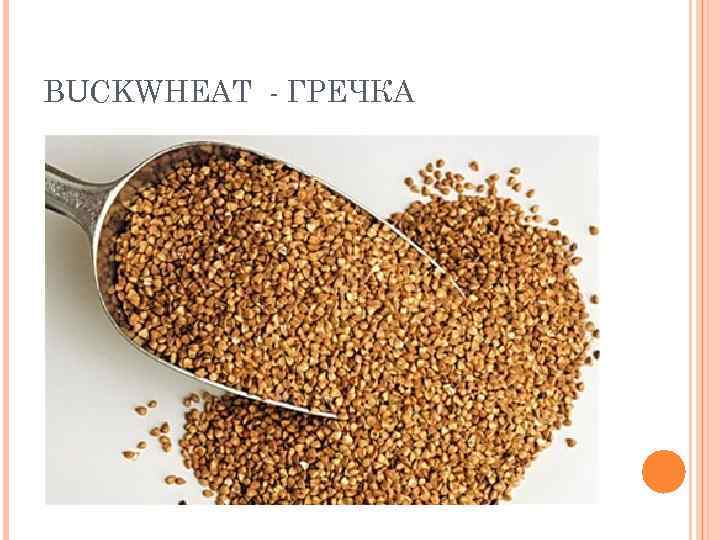 BUCKWHEAT - ГРЕЧКА 