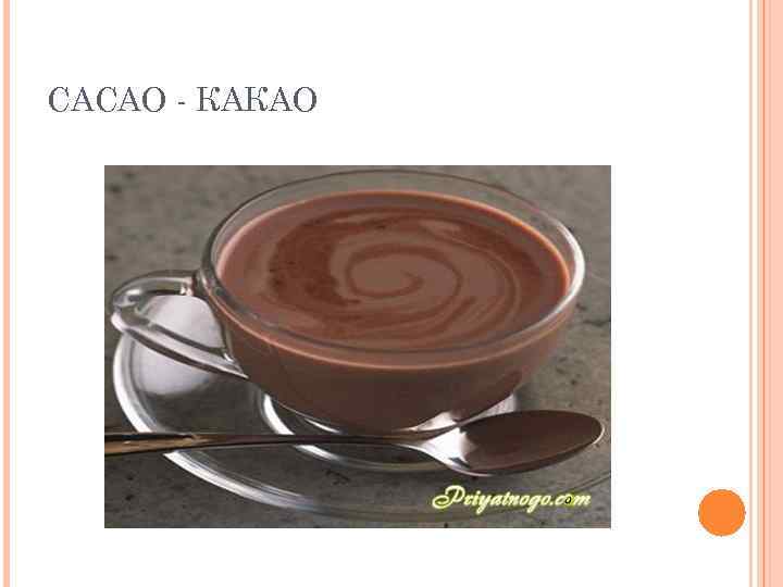 CACAO - КАКАО 