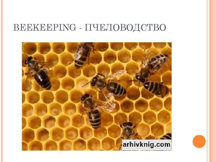BEEKEEPING - ПЧЕЛОВОДСТВО 