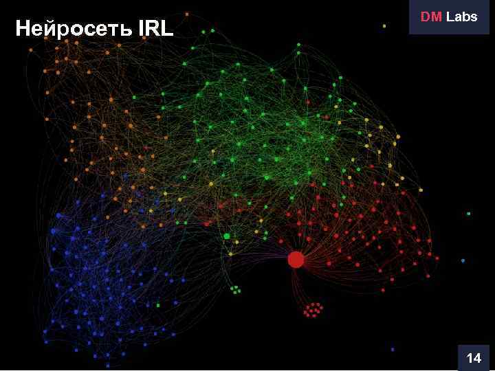 Нейросеть IRL DM Labs 14 