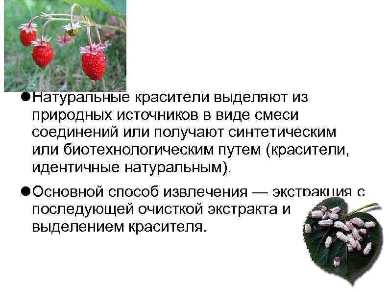  Натуральные красители выделяют из природных источников в виде смеси соединений или получают синтетическим