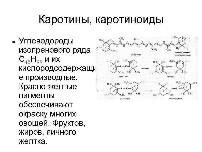 Каротины, каротиноиды Углеводороды изопренового ряда С 40 Н 56 и их кислородсодержащи е производные.