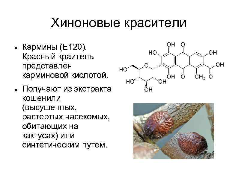 Хиноновые красители Кармины (Е 120). Красный краитель представлен карминовой кислотой. Получают из экстракта кошенили