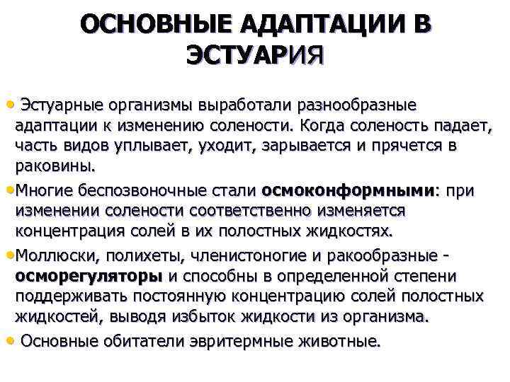 ОСНОВНЫЕ АДАПТАЦИИ В ЭСТУАРия • Эстуарные организмы выработали разнообразные адаптации к изменению солености. Когда