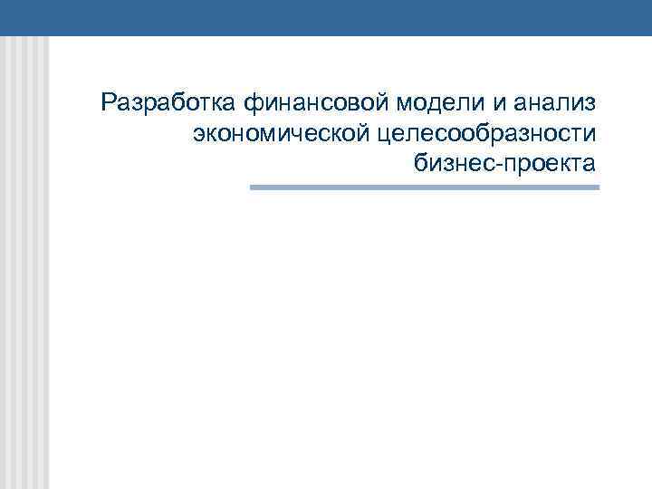 Разработка финансовой модели и анализ экономической целесообразности бизнес-проекта 