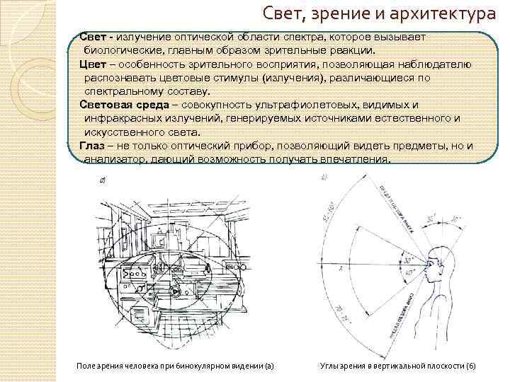 Свет, зрение и архитектура Свет - излучение оптической области спектра, которое вызывает биологические, главным