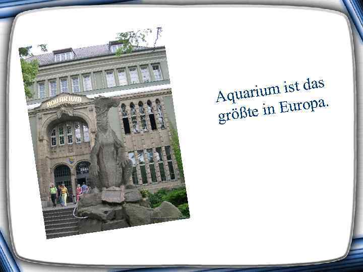 ist das Aquarium opa. e in Eur größt 