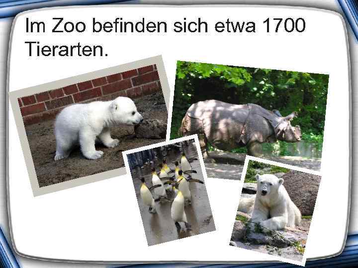 Im Zoo befinden sich etwa 1700 Tierarten. 