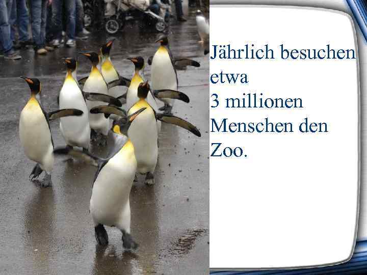 Jährlich besuchen etwa 3 millionen Menschen den Zoo. 