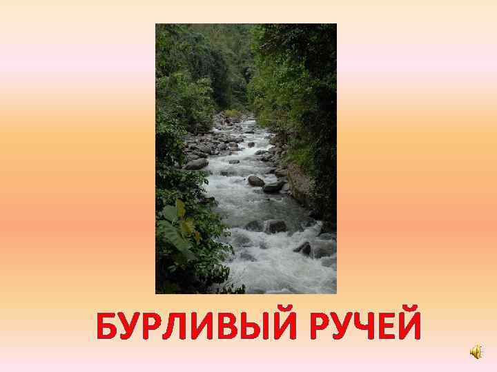 БУРЛИВЫЙ РУЧЕЙ 