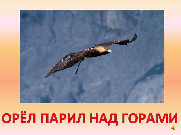 ОРЁЛ ПАРИЛ НАД ГОРАМИ 