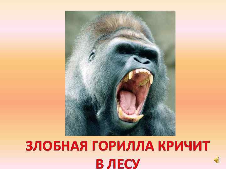 ЗЛОБНАЯ ГОРИЛЛА КРИЧИТ В ЛЕСУ 